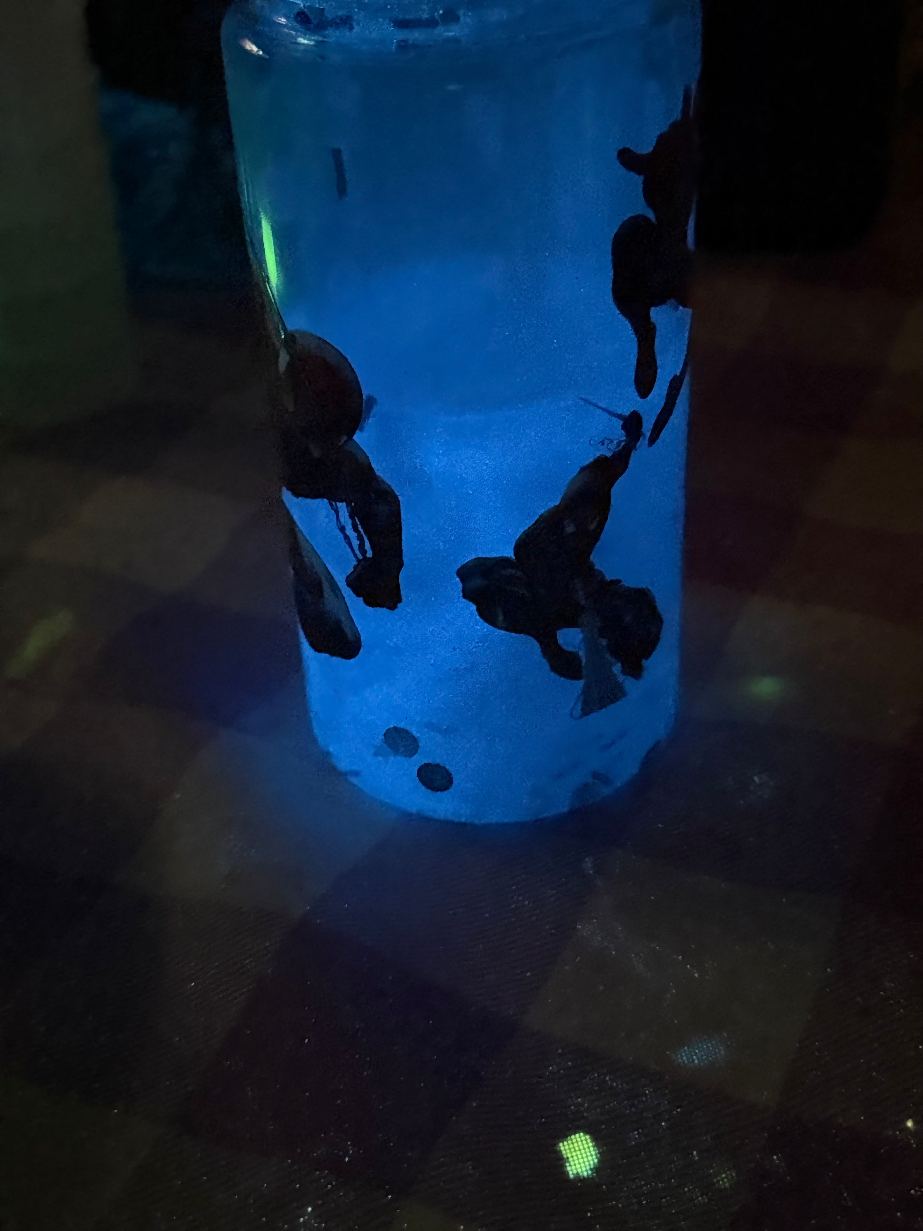 10 oz Kids Spider Man Lava cup