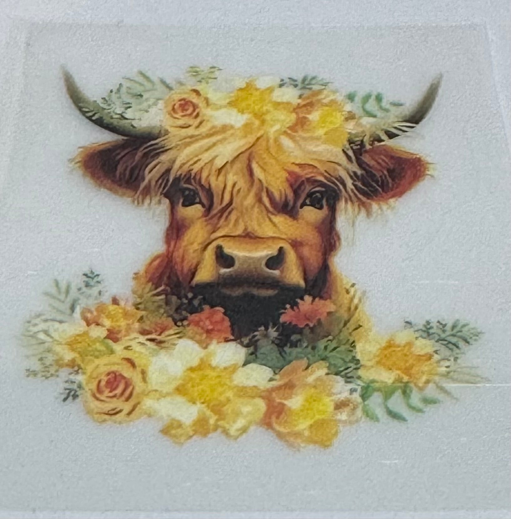 Highland cow with flowers decal