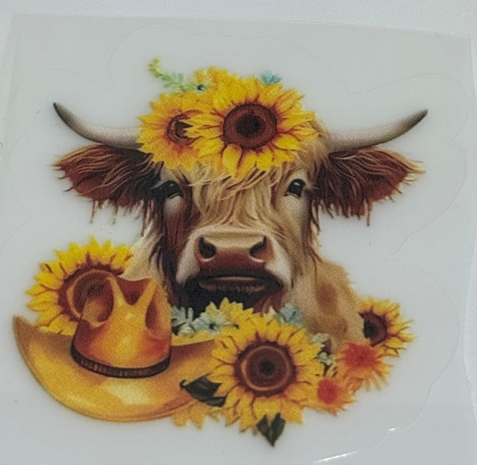 Highland cow decal
