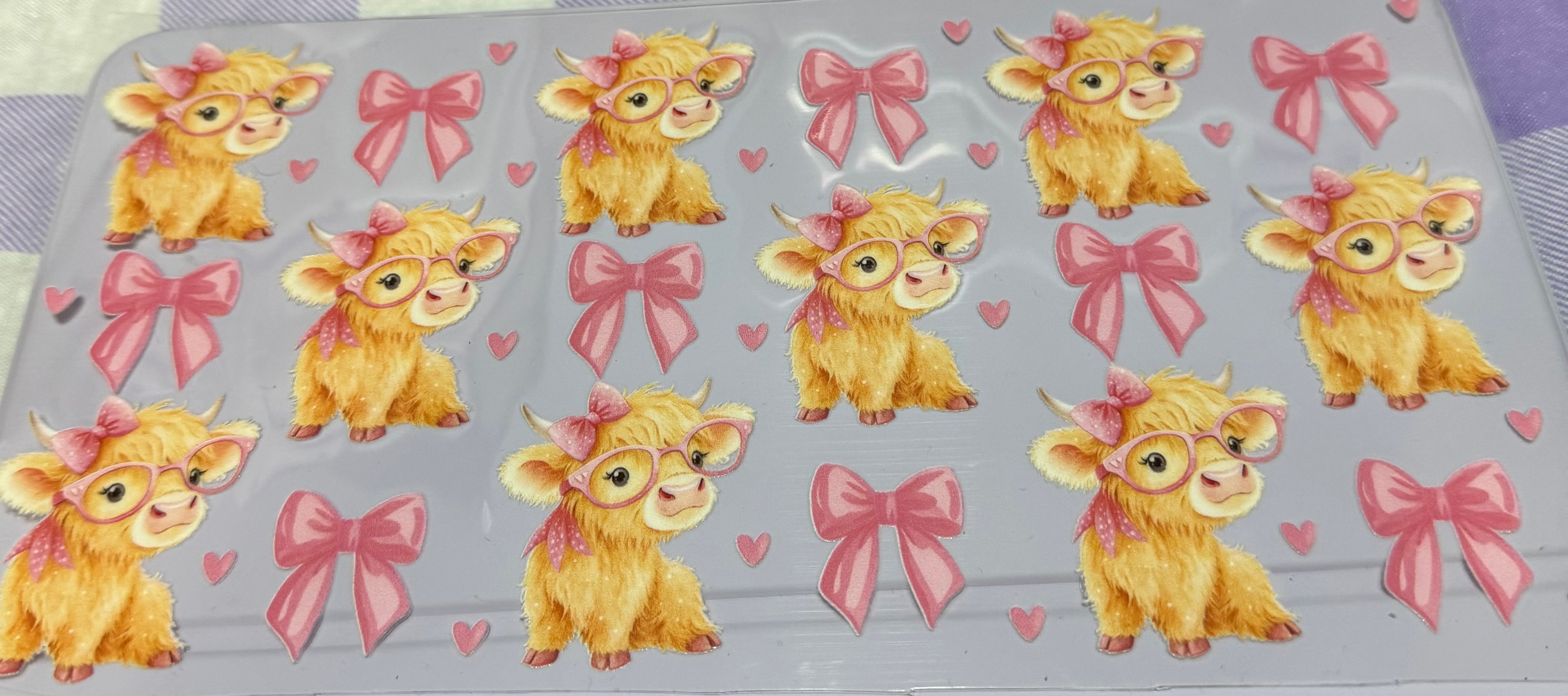 Cow & Bows wrap