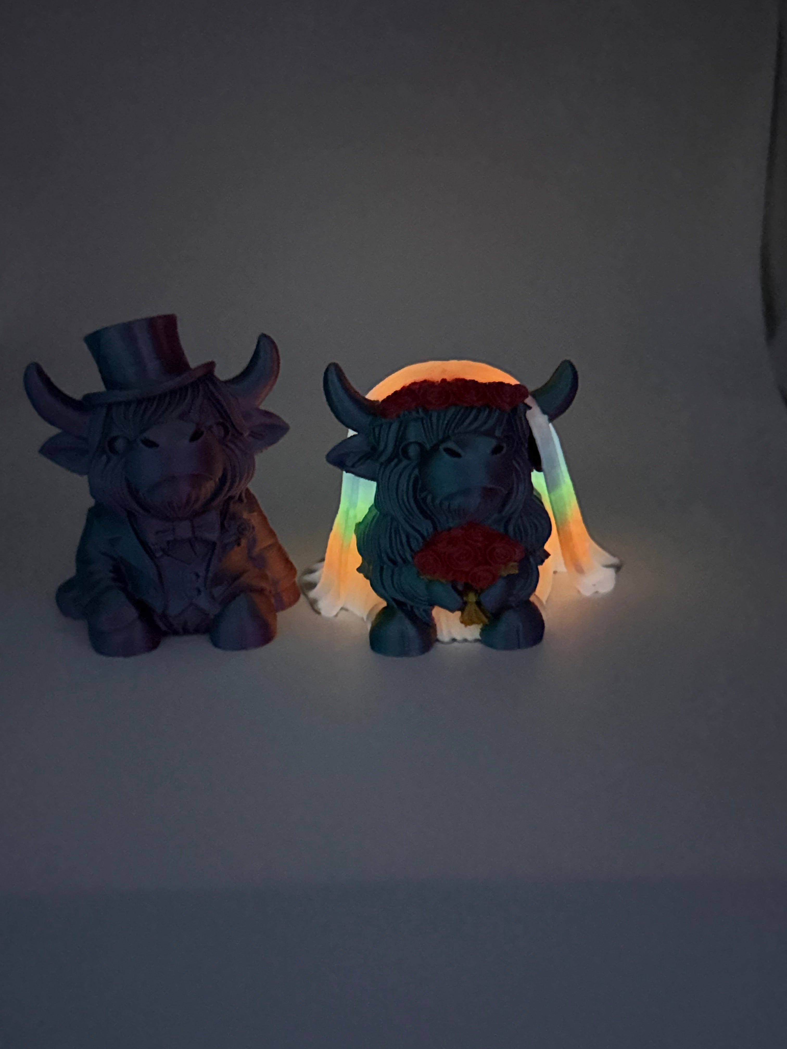 3D Highland Cow Bride and Groom multi color
