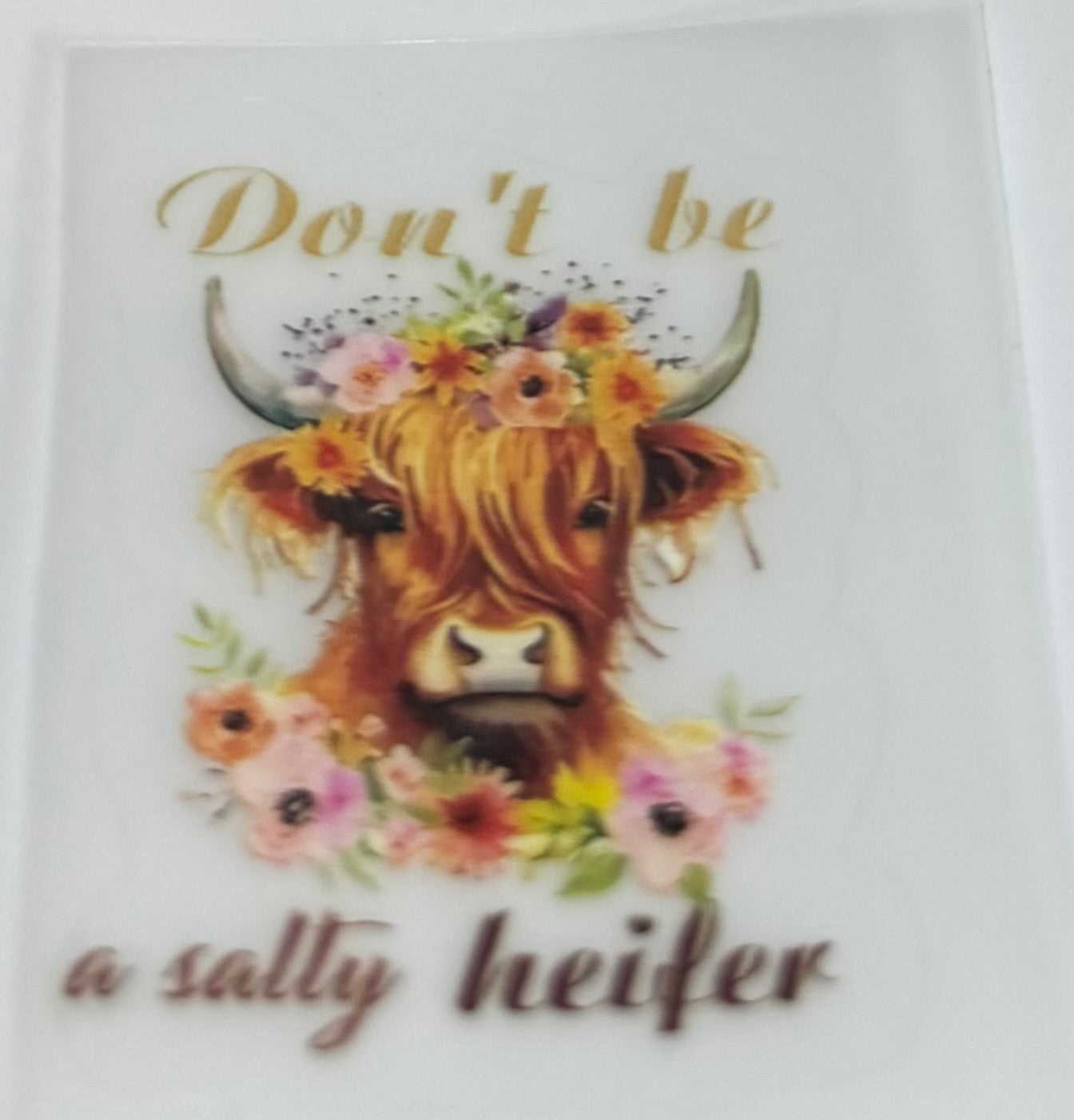 Highland cow decal