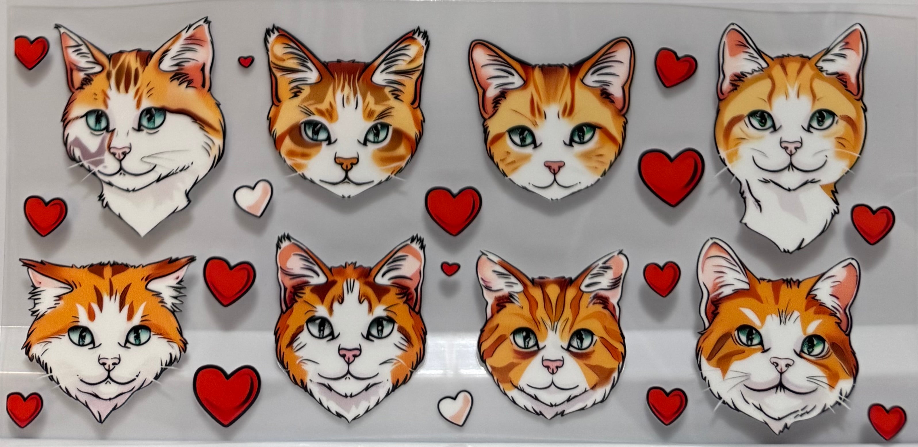Cat Expressions Wrap