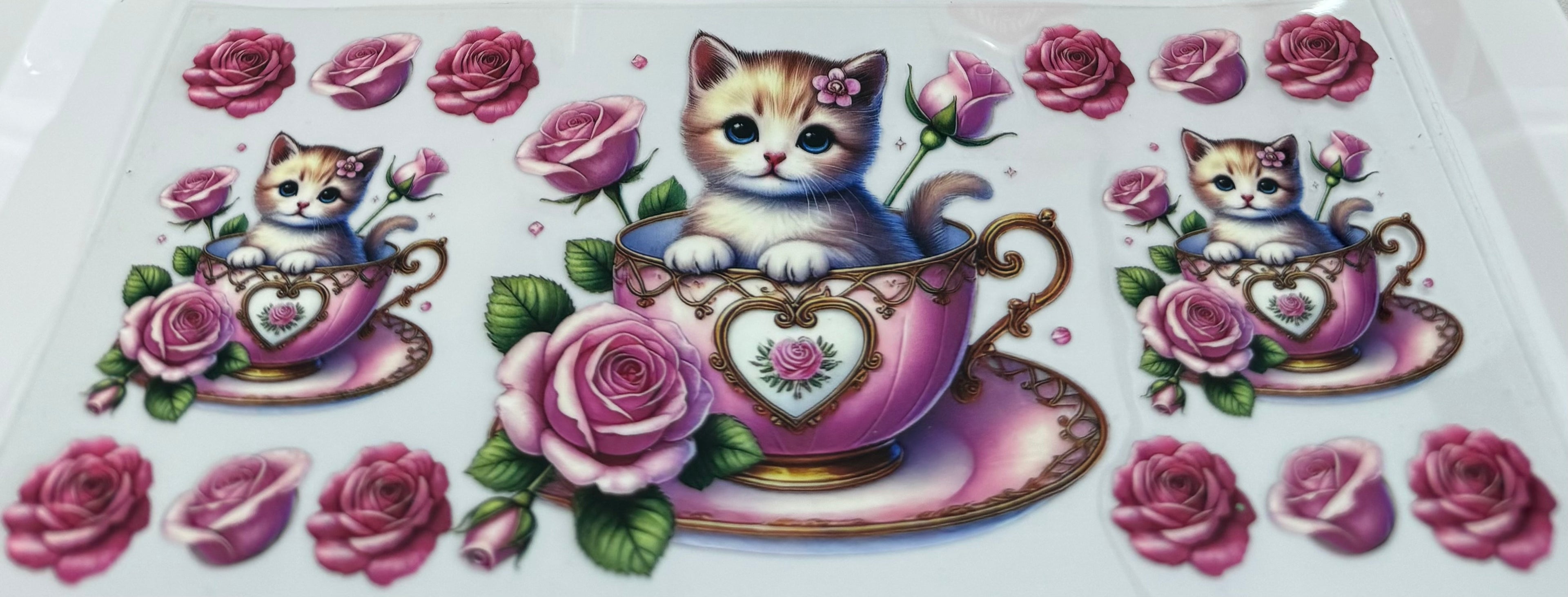 Kittens in teacup wrap