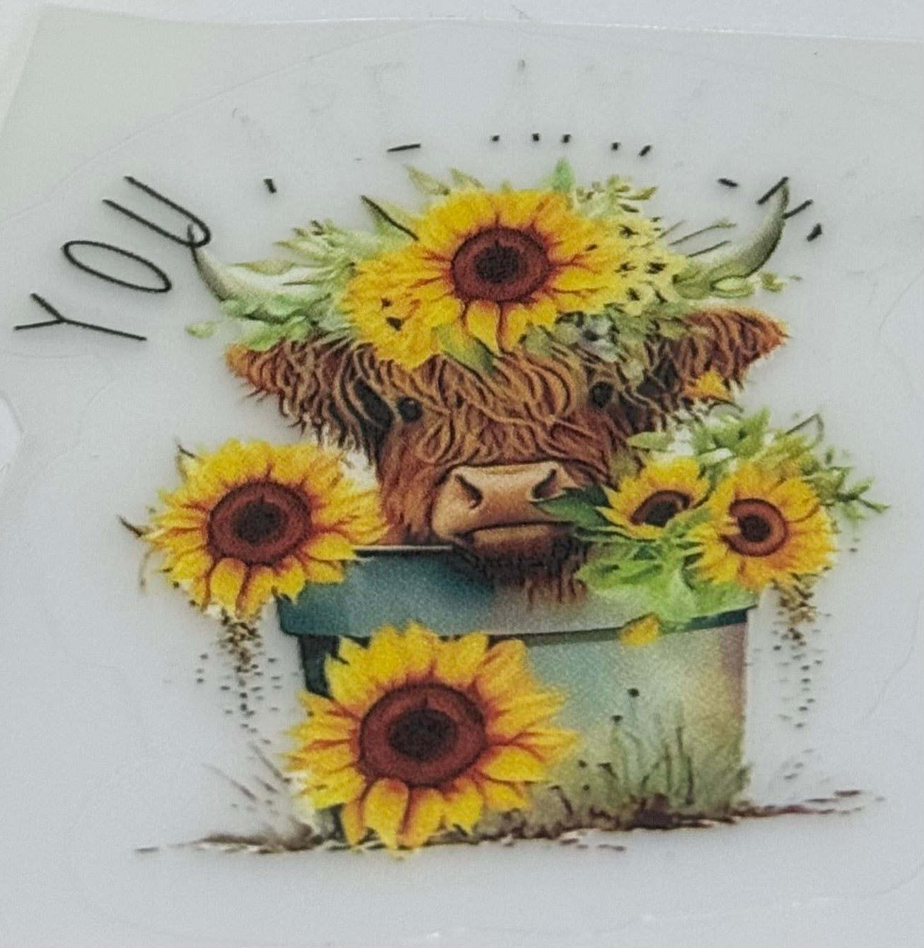 Highland cow decal