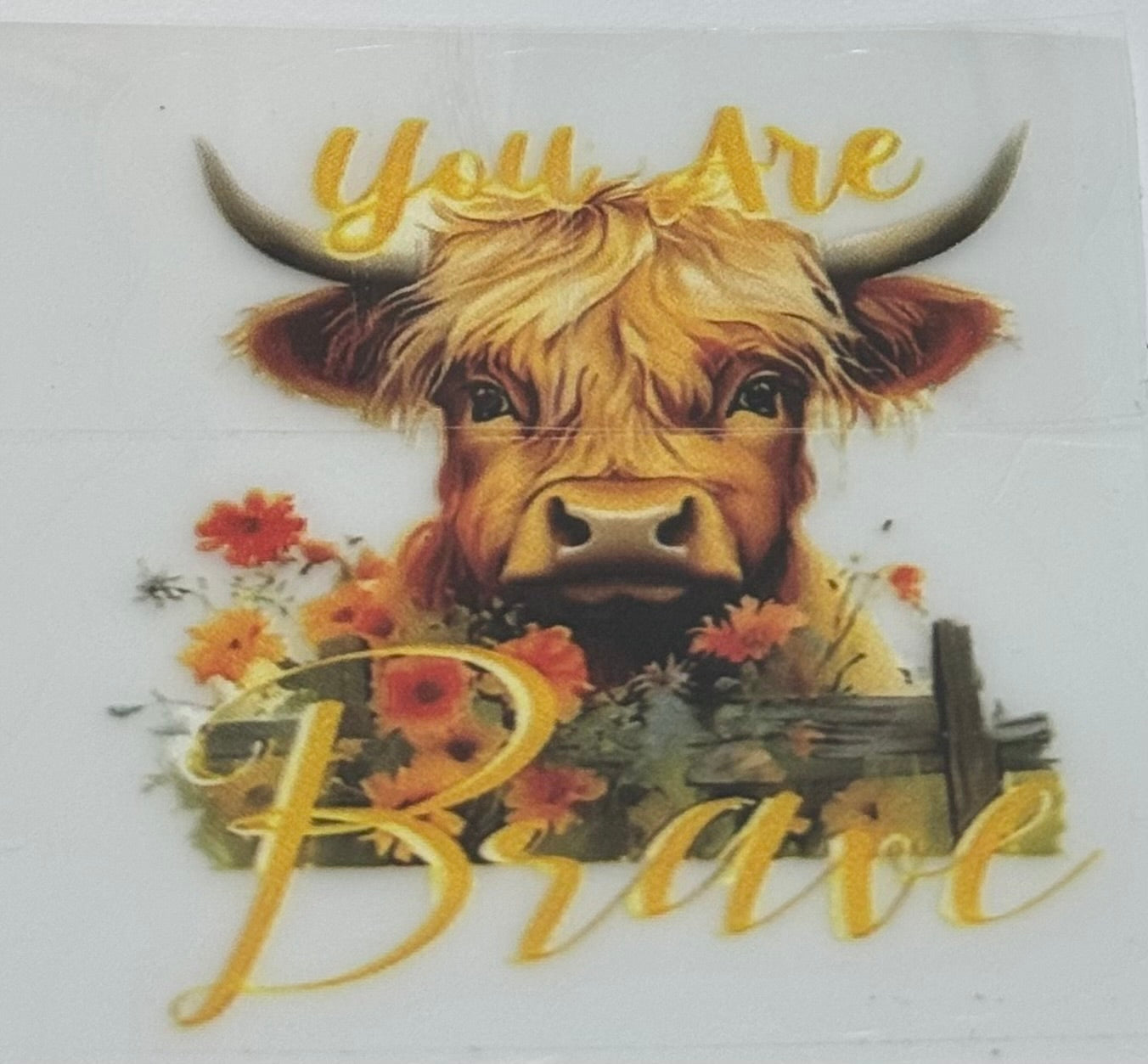 Highland cow decal