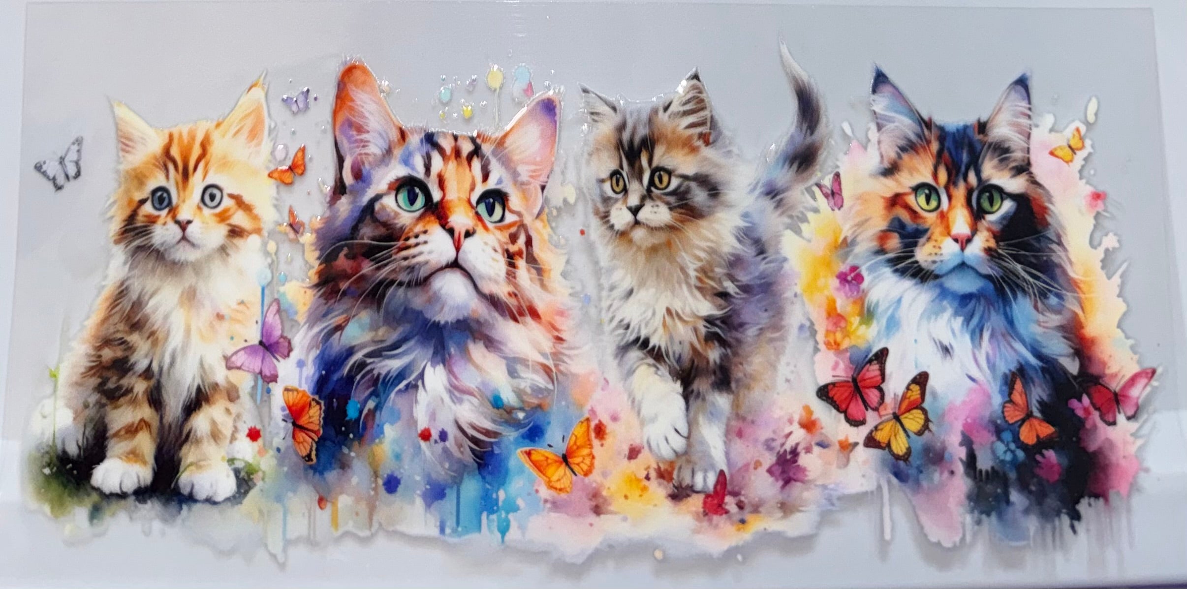 Cats wrap