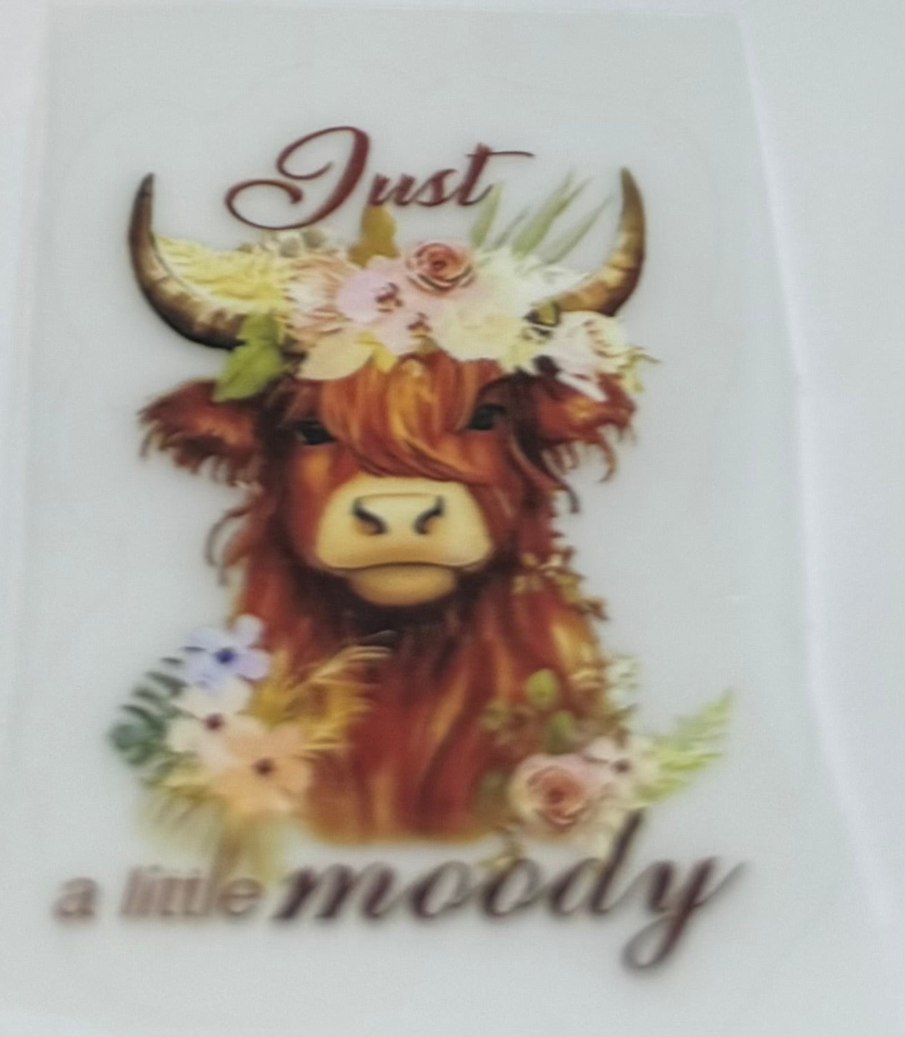 Highland cow decal