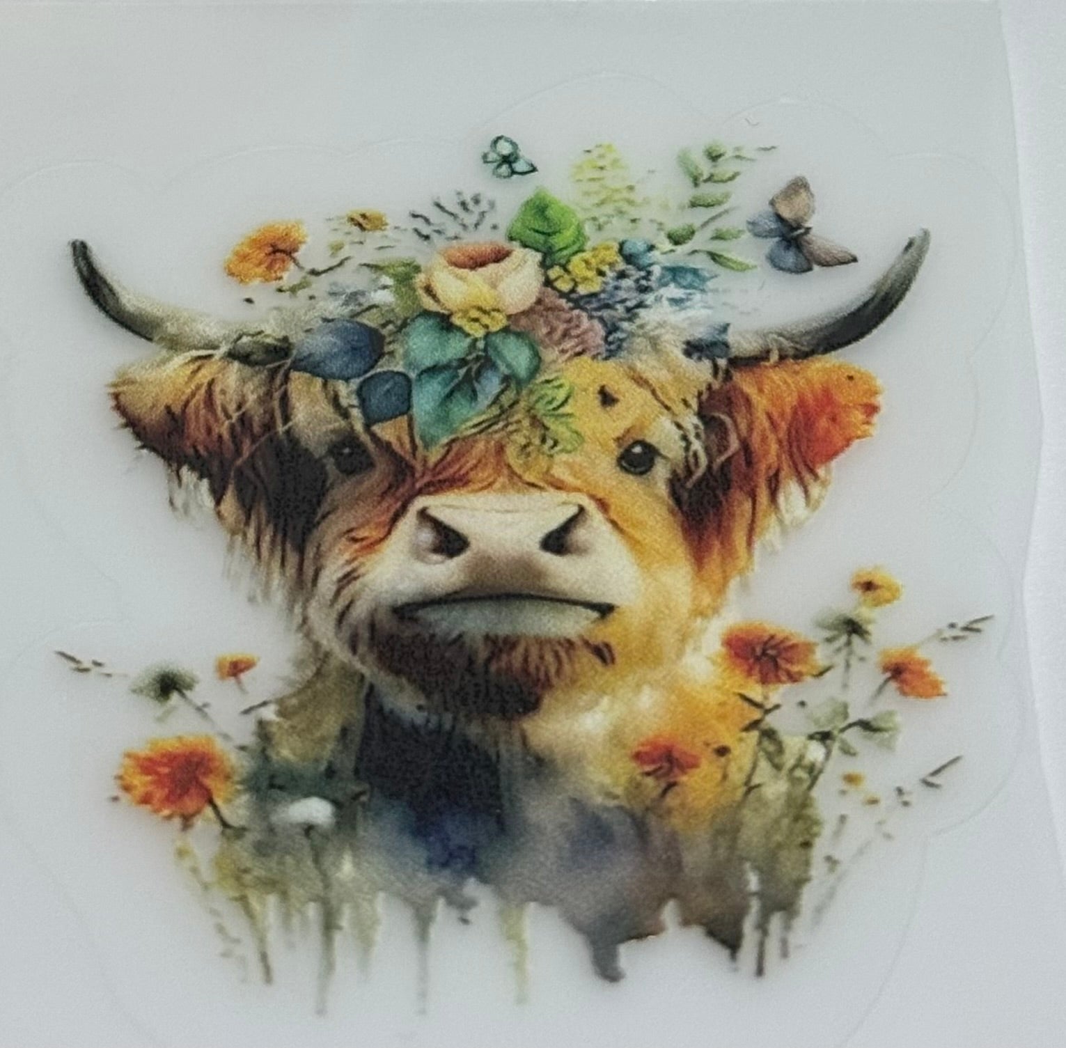 Highland cow decal