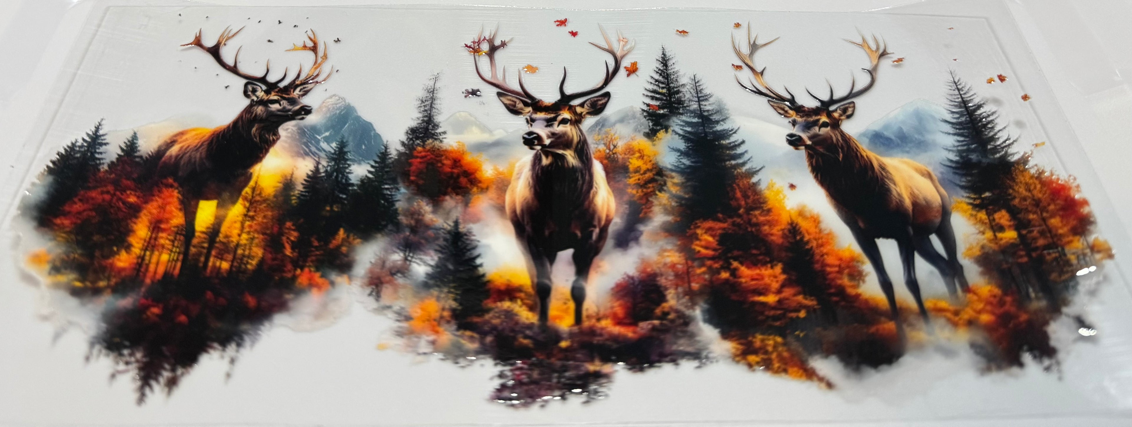 Bucks in the woods wrap
