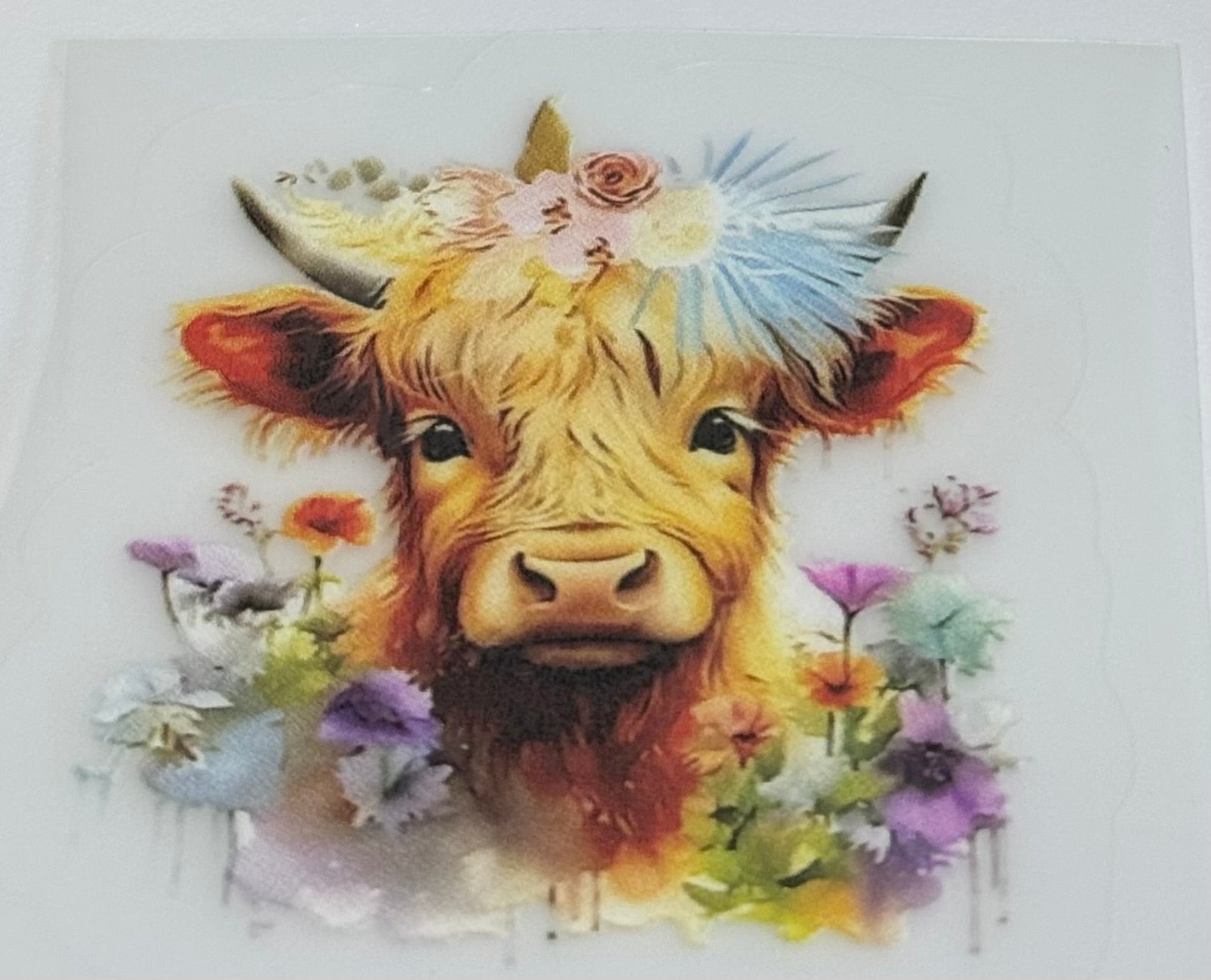 Highland cow decal
