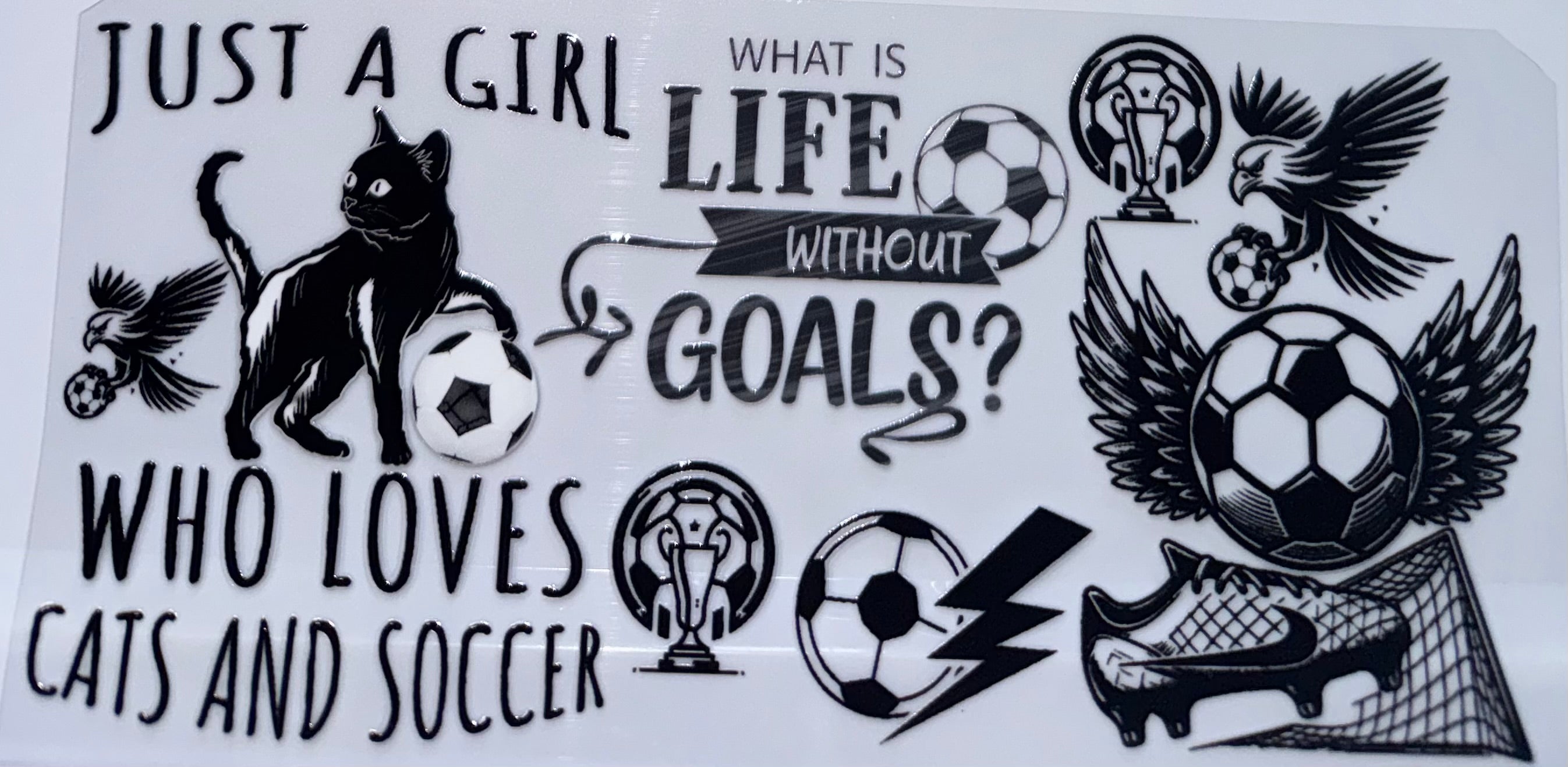 What is Life without Goals wrap