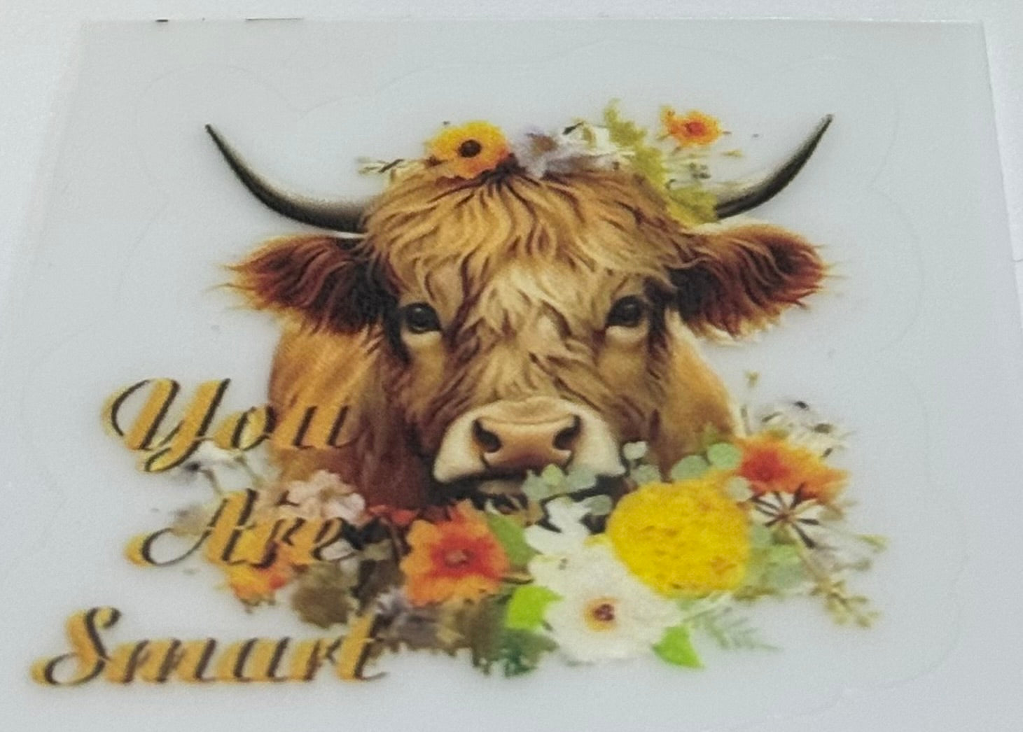 Highland cow decal