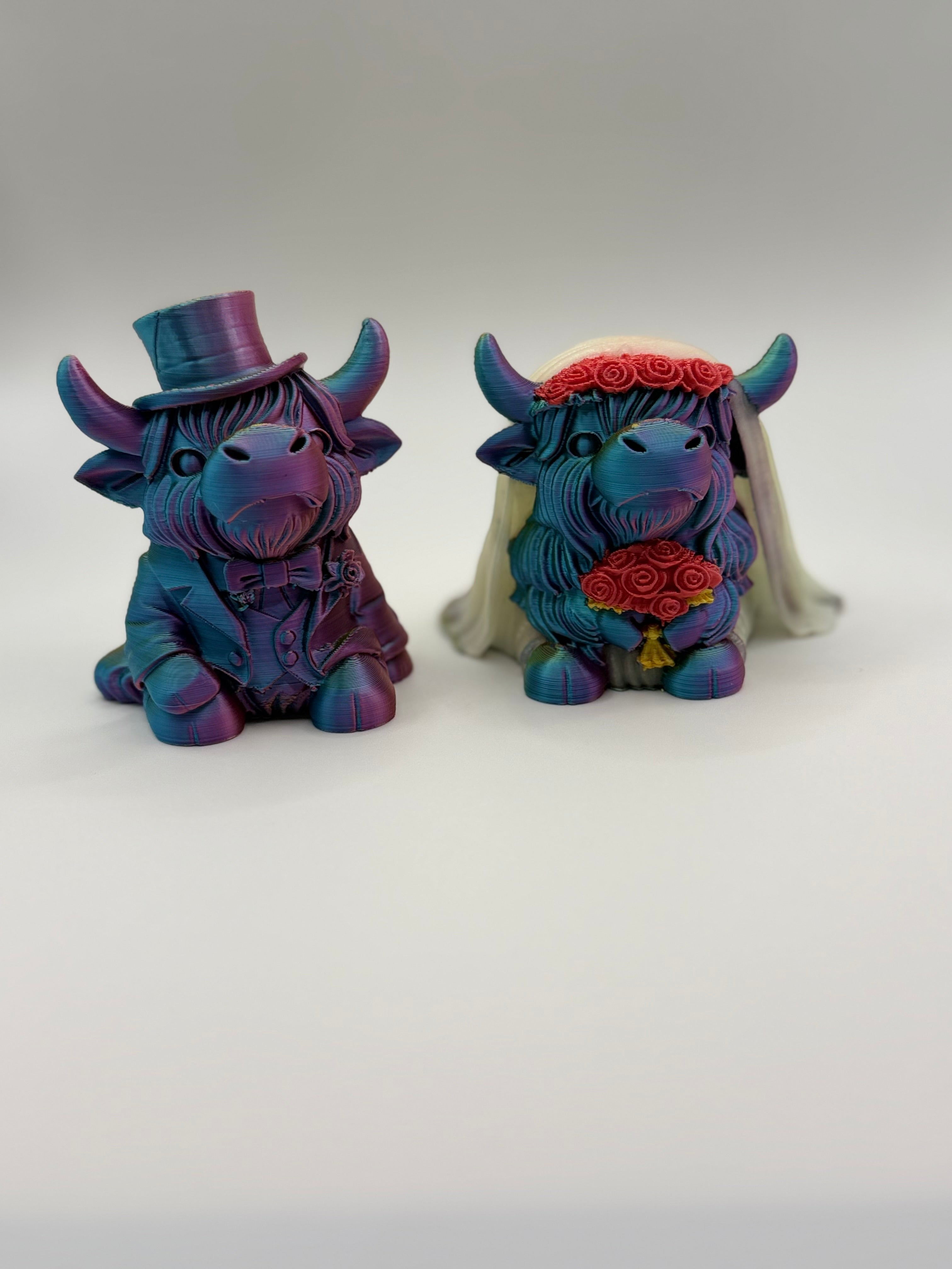 3D Highland Cow Bride and Groom multi color