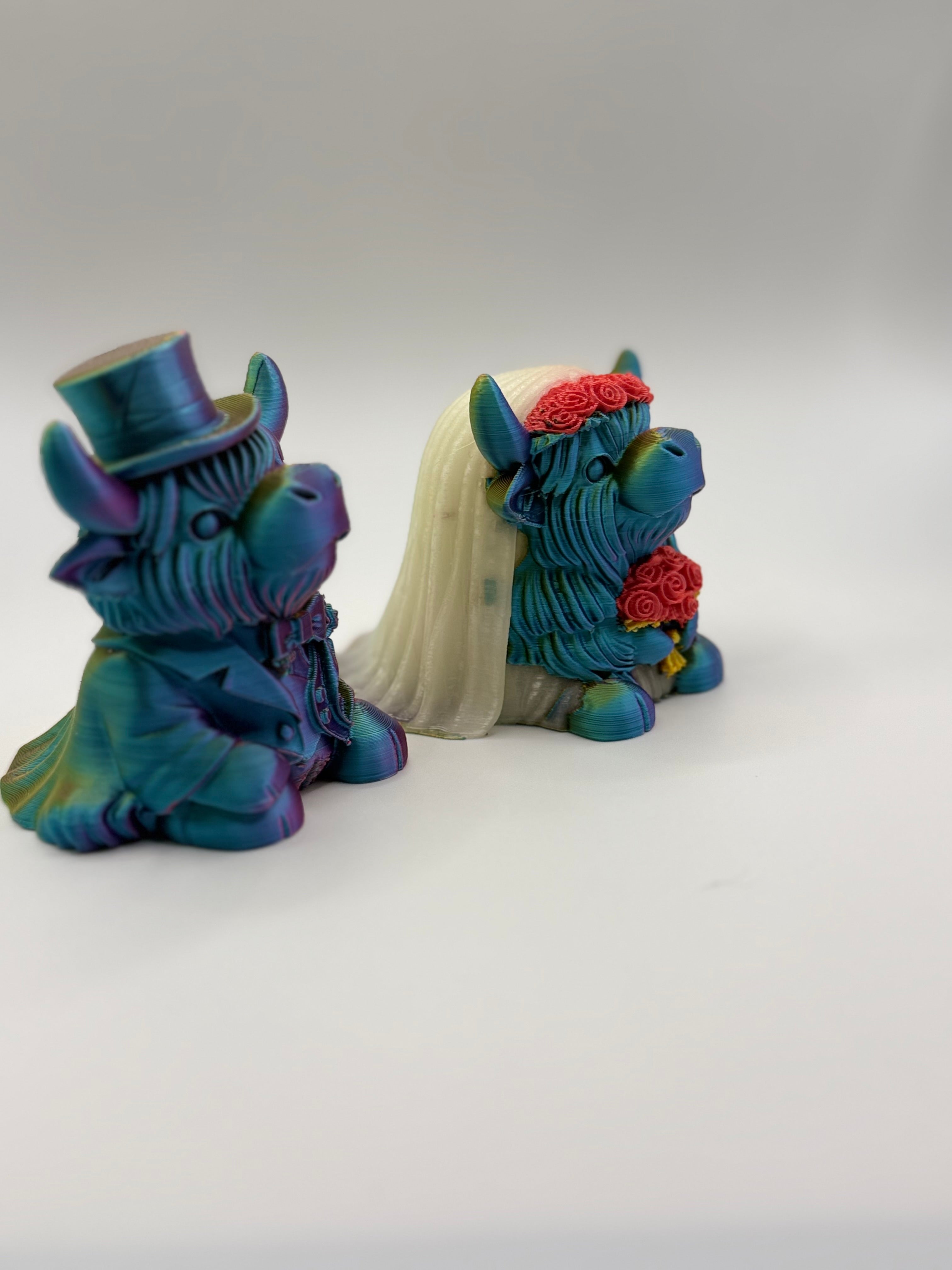 3D Highland Cow Bride and Groom multi color