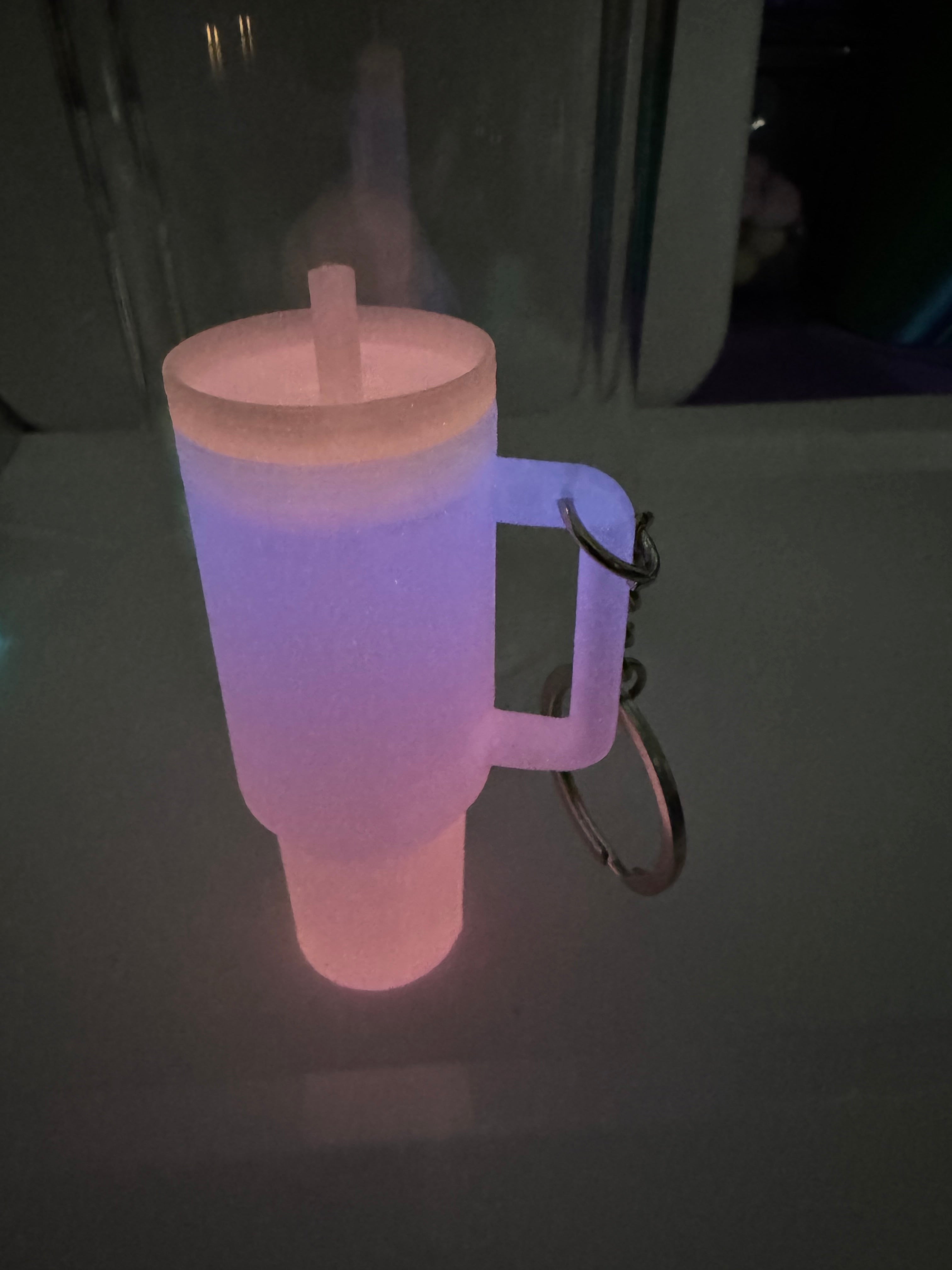 3D Mini Stanley Glow in the Dark
