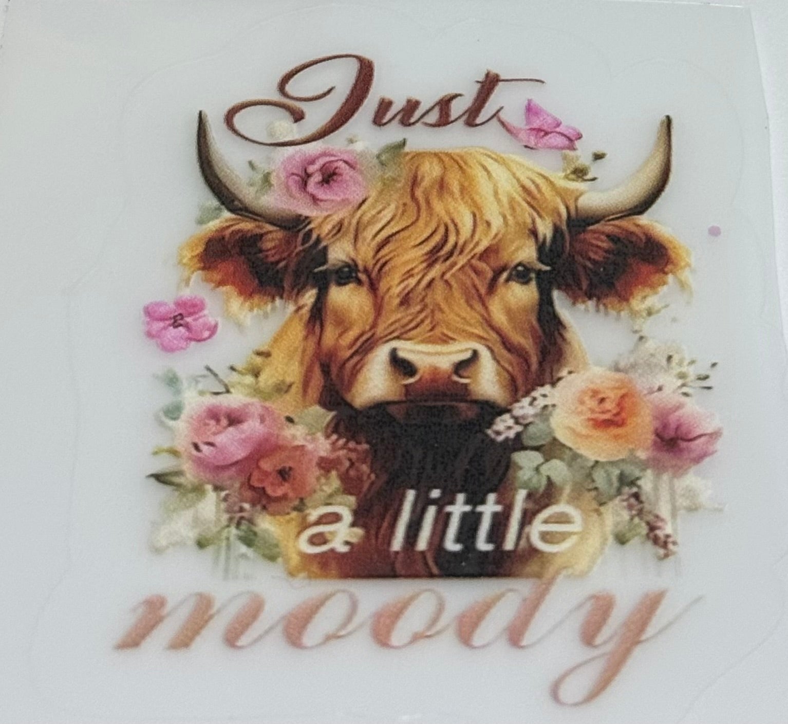 Highland cow decal