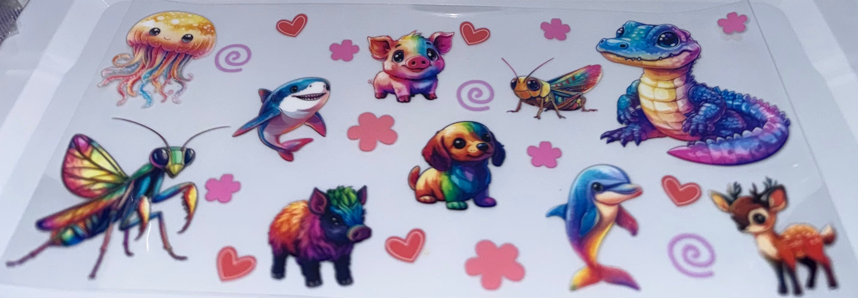 Rainbow colored animals wrap