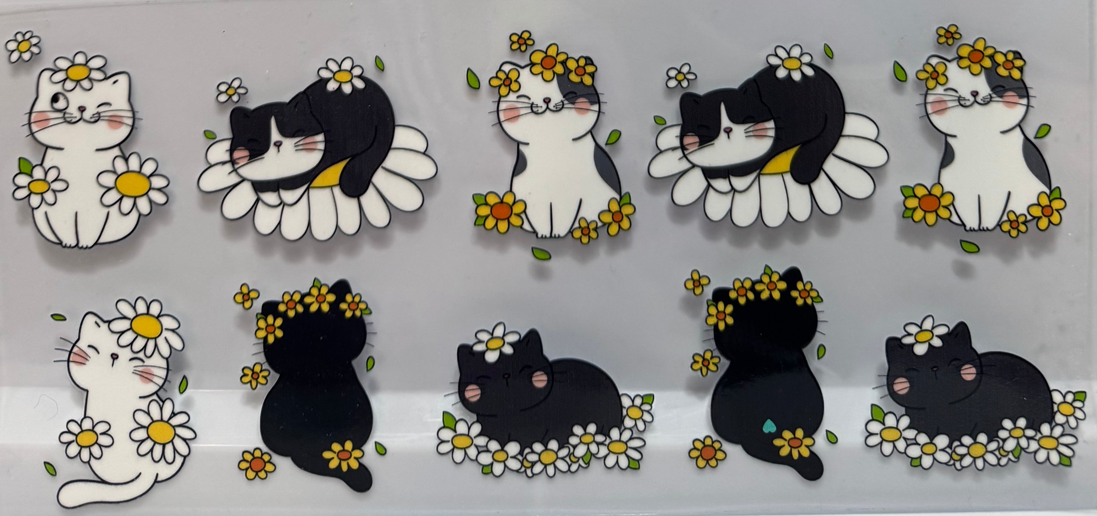 Black and white Cats and flowers wrap