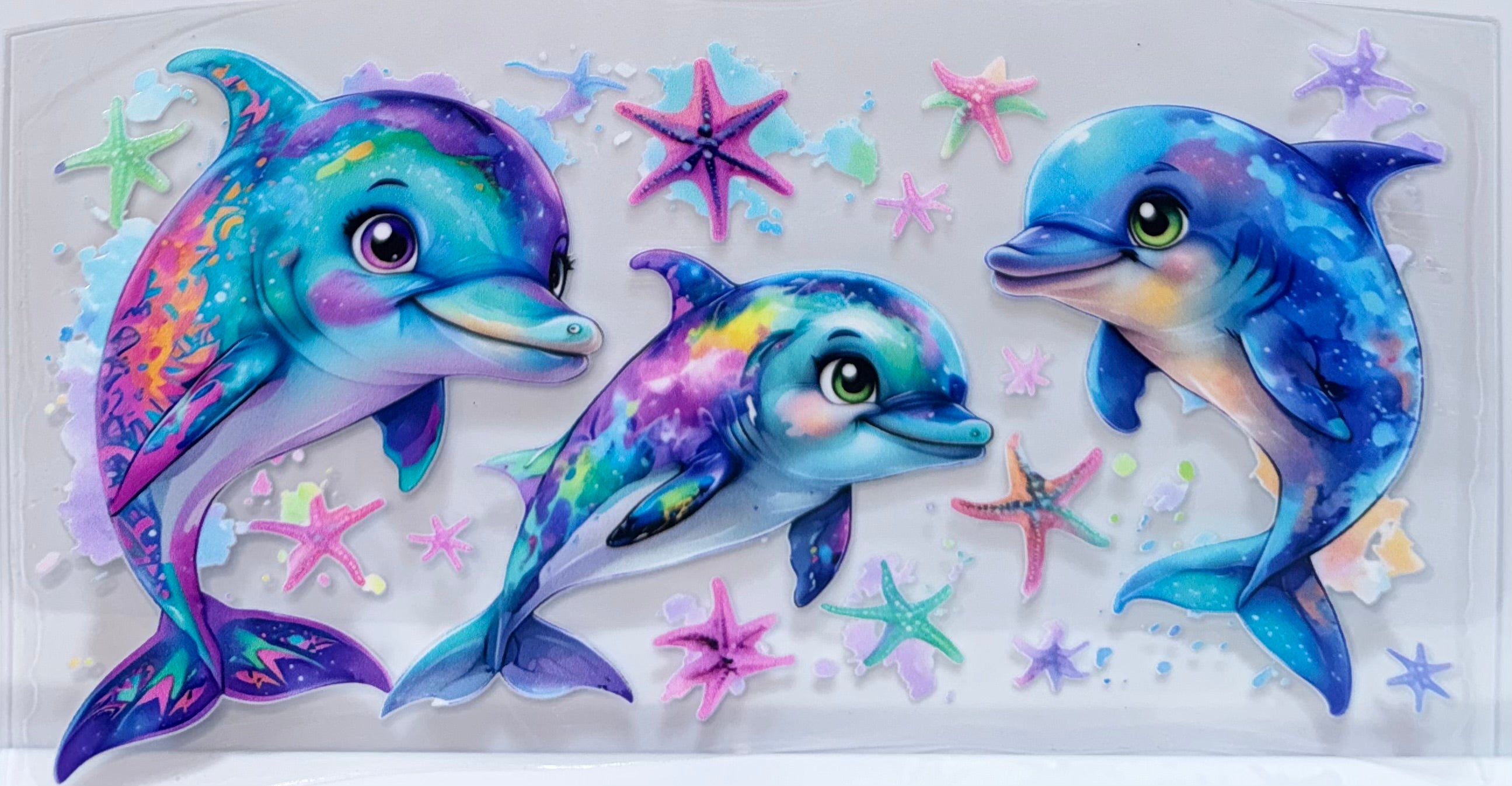 Dolphins wrap