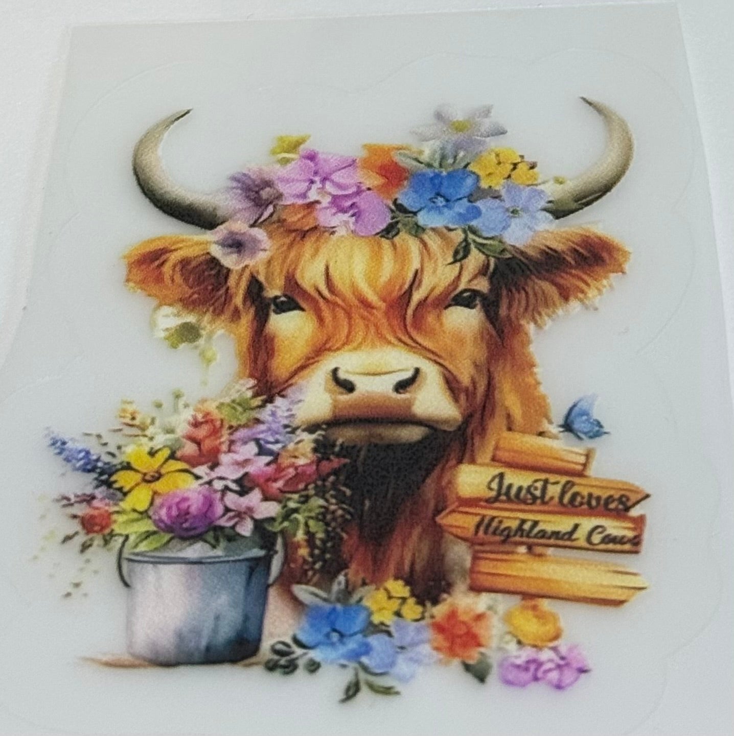 Highland cow decal