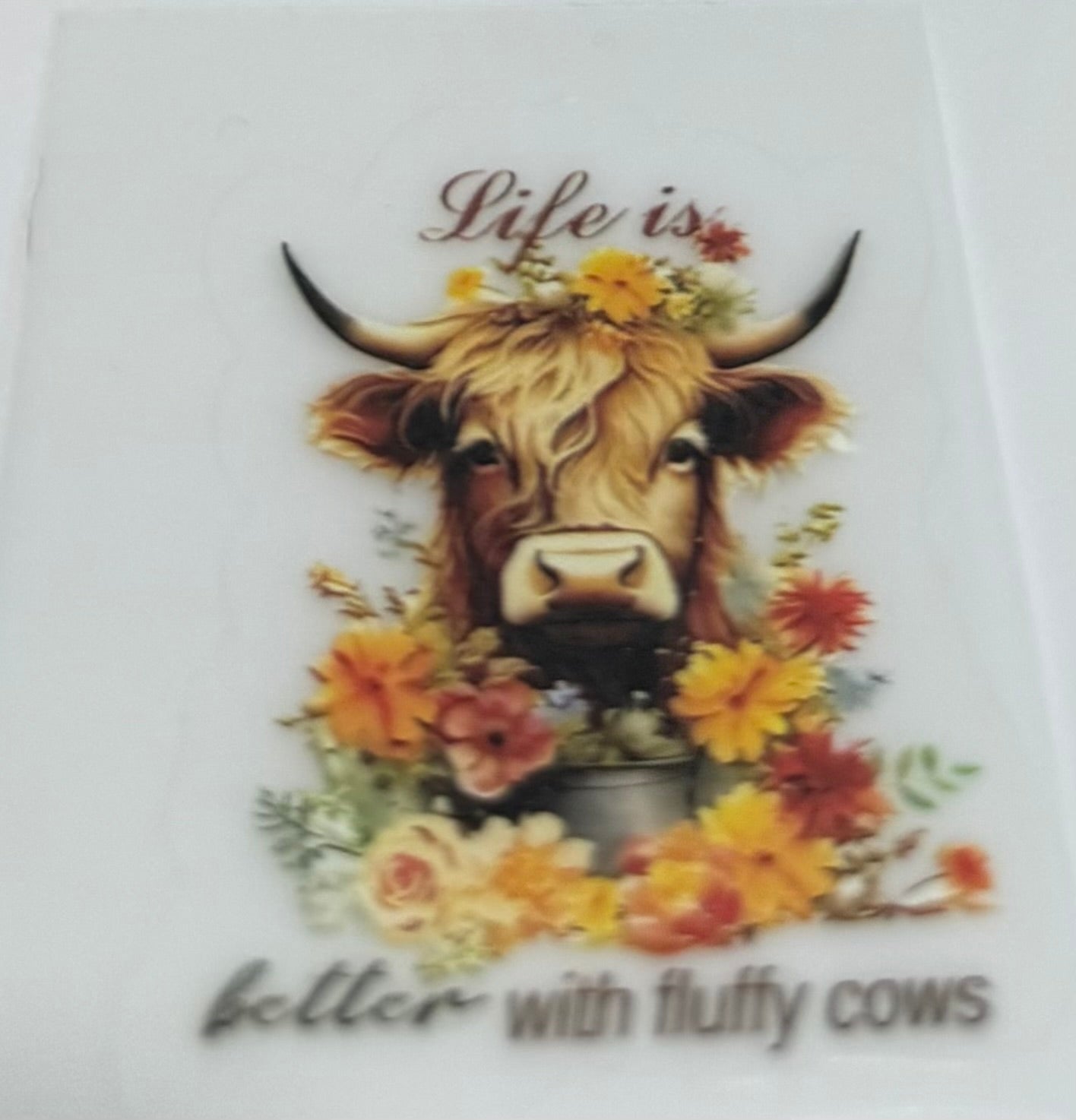 Highland cow decal