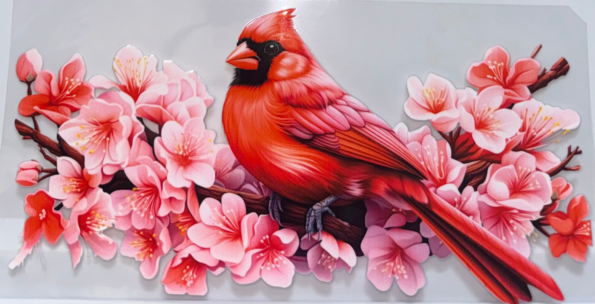 Cardinal wrap