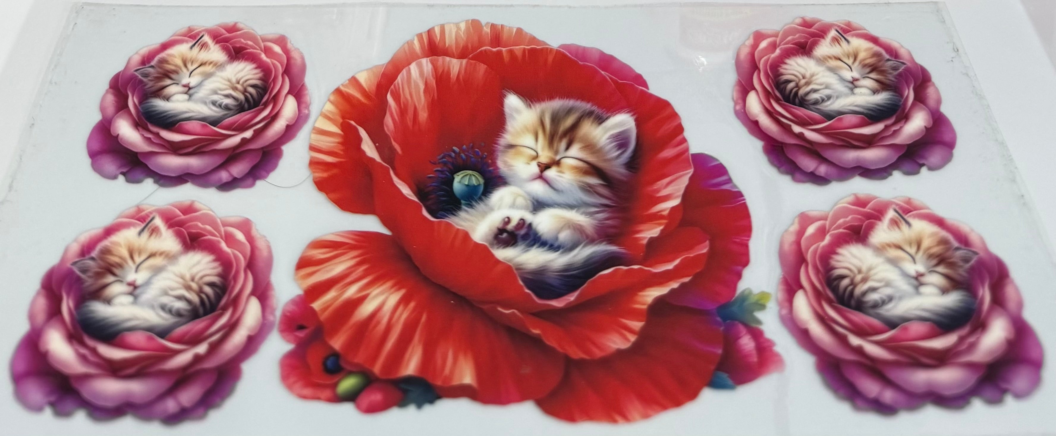 Kittens in flowers wrap