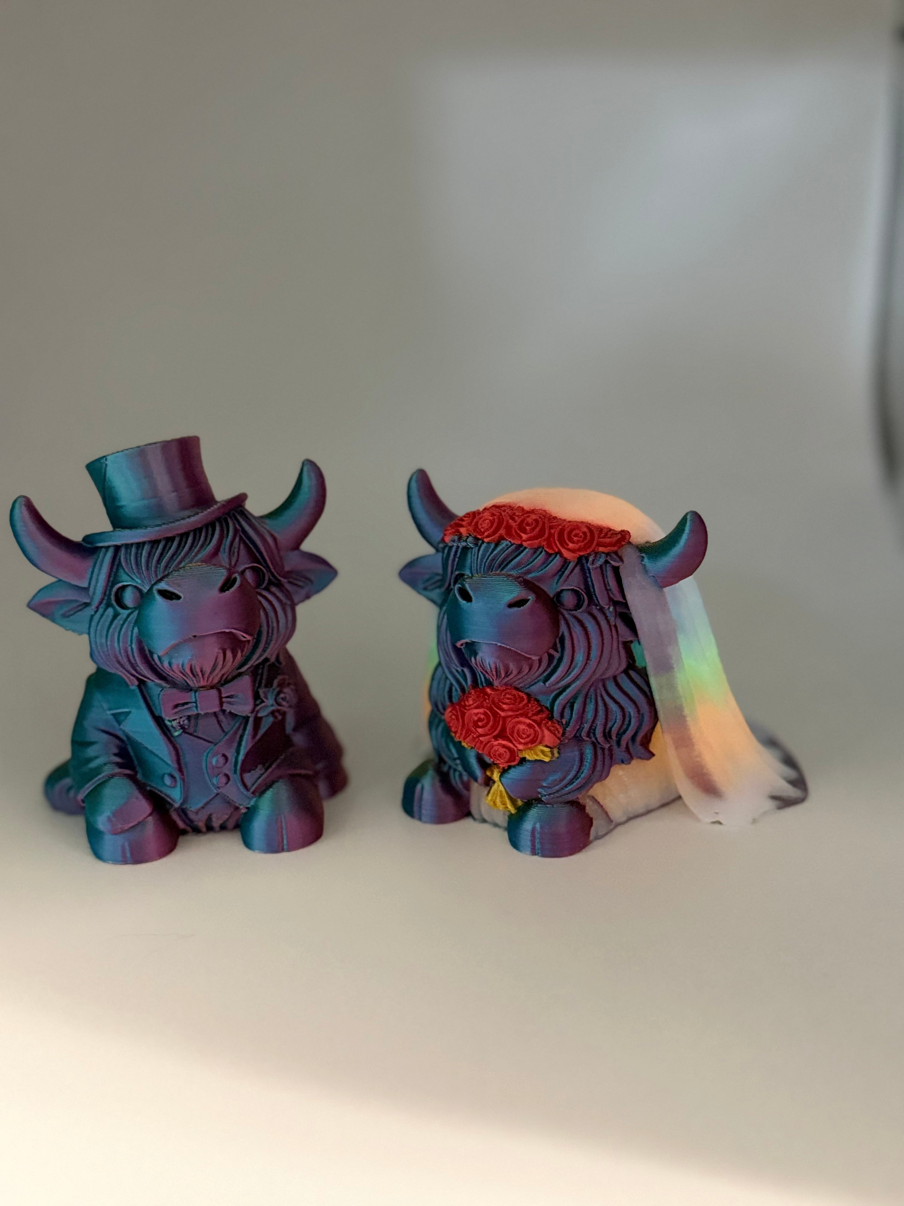 3D Highland Cow Bride and Groom multi color