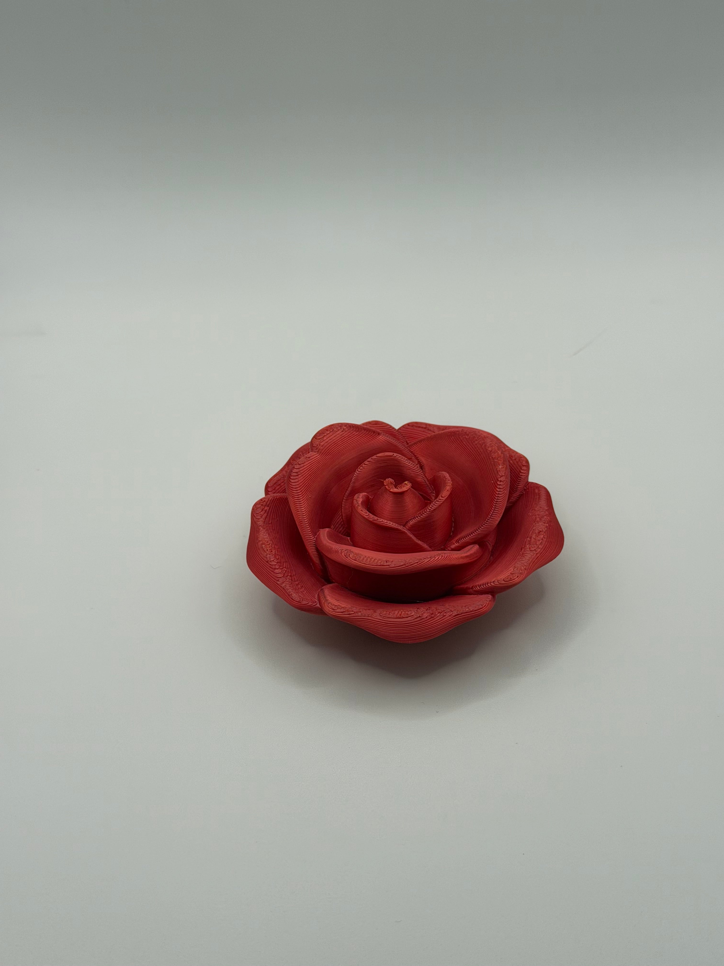 3D Printed Large Rose
