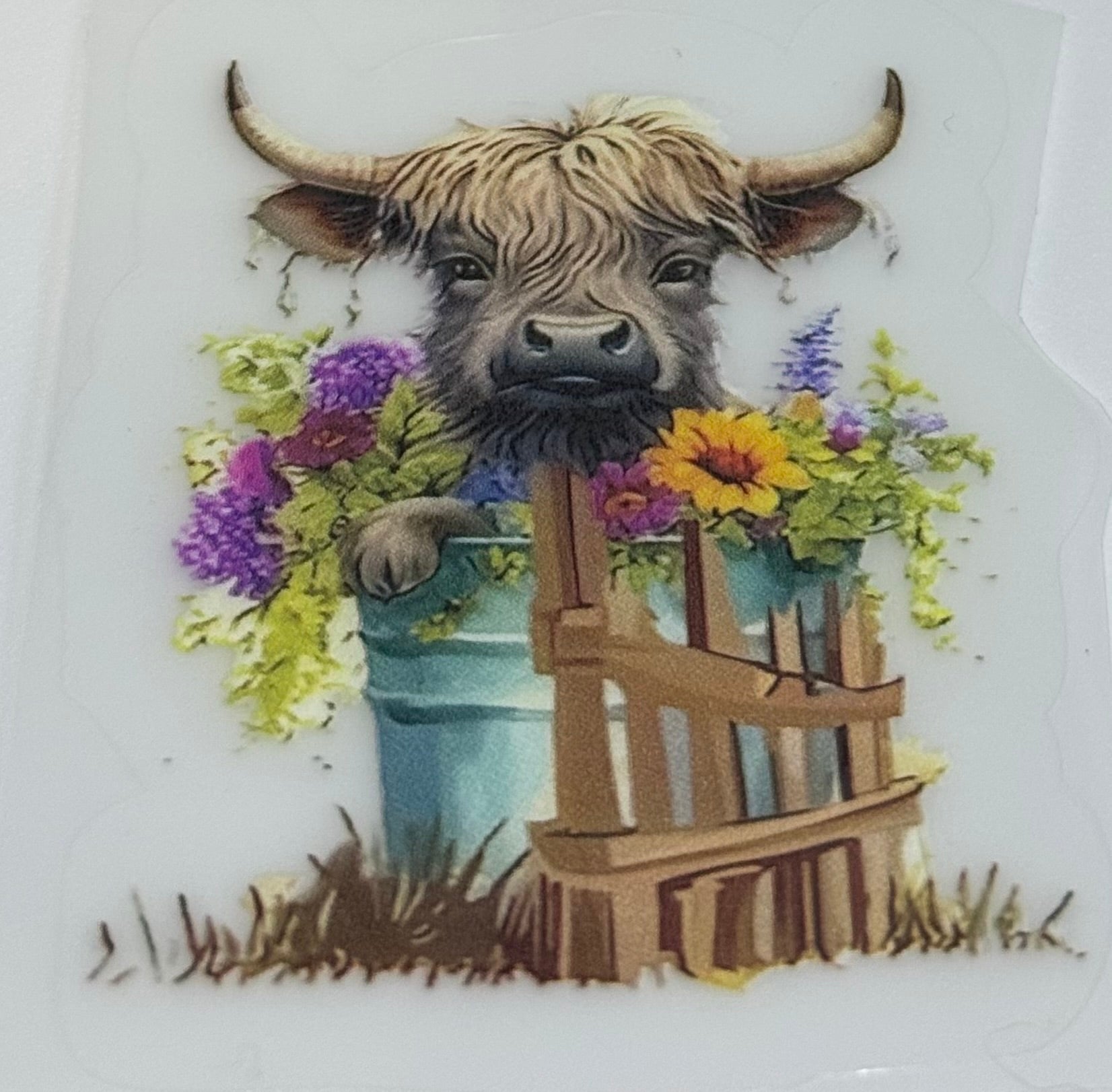 Highland cow decal