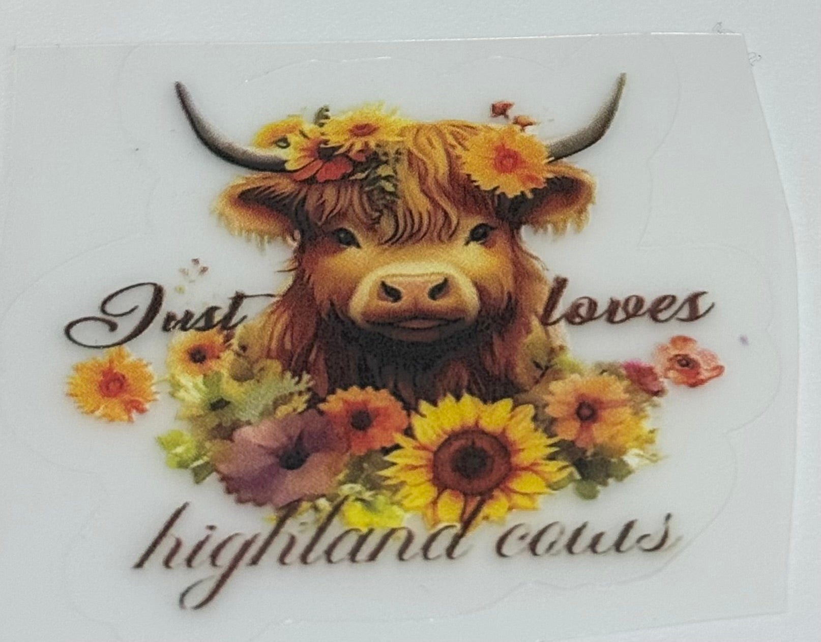 Highland cow decal