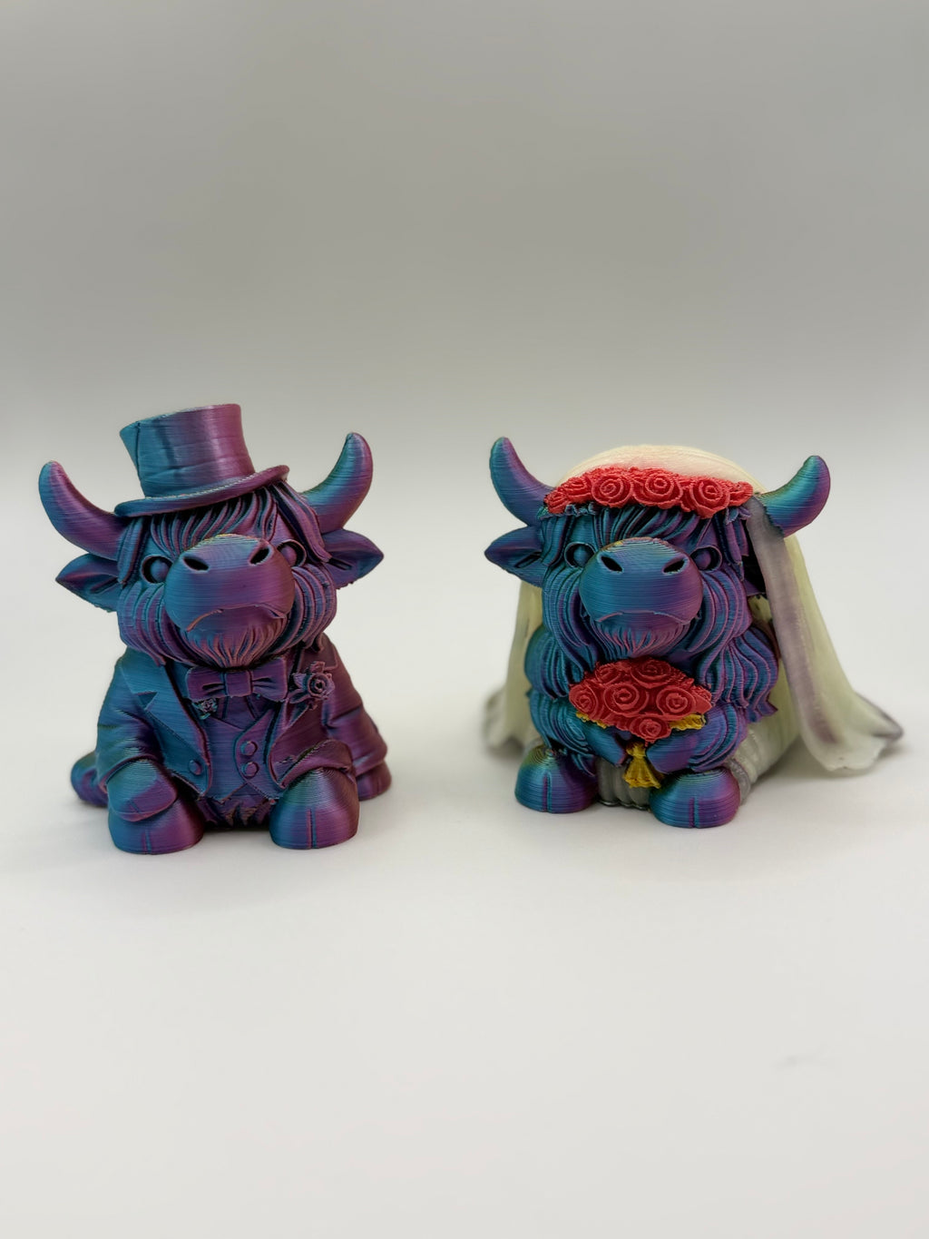 3D Highland Cow Bride and Groom multi color