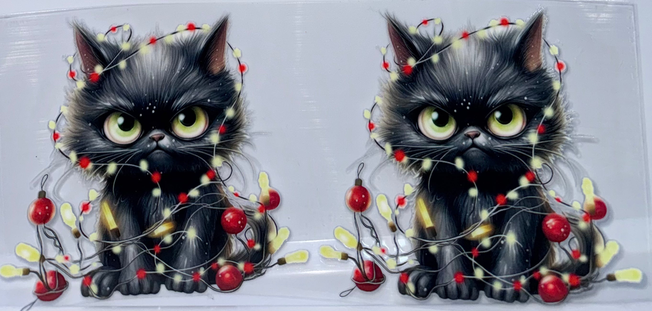 Cat in Christmas lights wrap